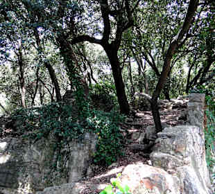 "Темные аллеи" сада Полины в Грассе