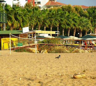 Inspirationen an d.Strandprom.entlang Nov.2010