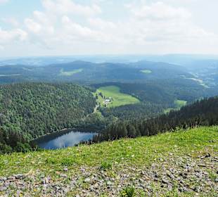 Feldberg