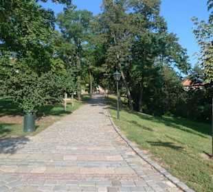 Аллея к замку