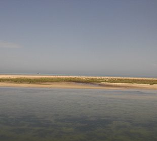 Flamingoinsel