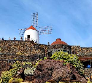 Jardin de Cactus / Kaktusgarten Guatiza