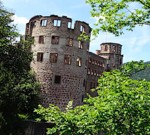 Schloss Heidelberg und Umgebung