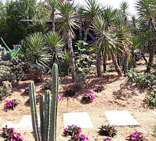 Wandern Waldmünchen