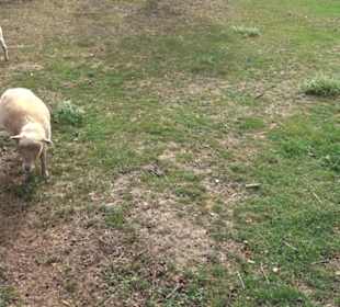 Erlebnispark Tripsdrill