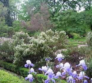Botanischer Garten - reine Idylle
