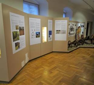 Ausstellungsräume im NordJURA-Museum