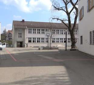 Freihof