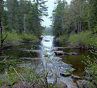 Algonquin Provincial Park, Whiskey Rapids Trail