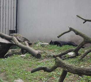 Zoo Warszawa