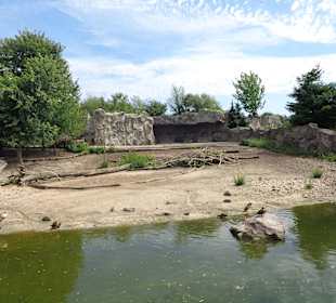Angelegter Teich im Bereich Afrika