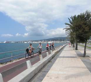 Radweg Richtung Palma
