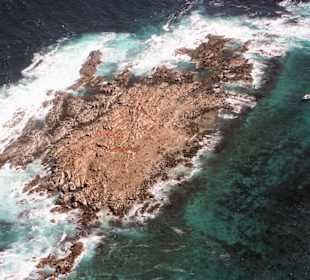 Gansbaai, Rundflug