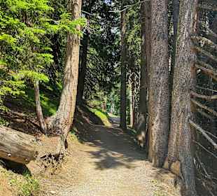 Wandern in Serfaus-Fiss-Ladis 