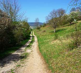 Wanderweg es gibt hier vier verschiedene