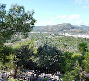 Ein Tal der Oliven und Orangen