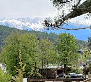 Aussicht hinaus der Garten