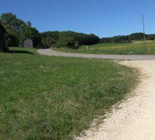 Waldameisen-LehrPfad