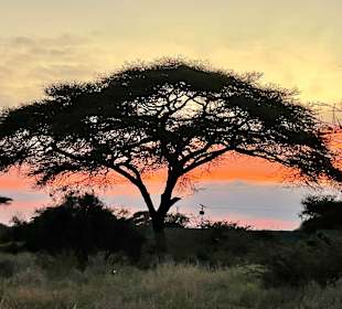 Amboseli-Nationalpark