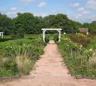 Park Rosenhöhe 7