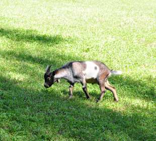 Wandern Heiligenblut