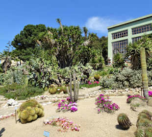 Impressionen aus dem Botanischen Garten Cagliari