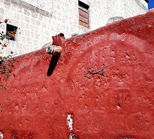 Santa Catalina Kloster