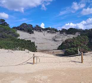 Naturschutzgebiet Ses Salines