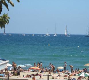 Il lungo mare di Barcellona