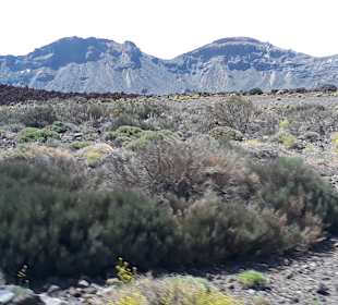 Teide Nationalpark