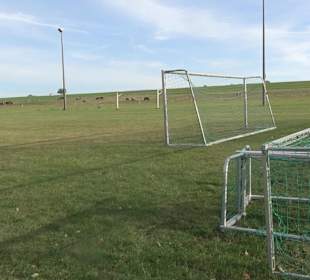 Sportanlage Weitingen im Gäu