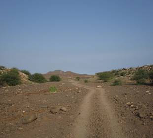 Landschaft