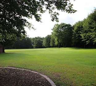 Wald umsäumte Fairways
