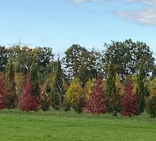 Stadtführung Ladenburg