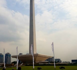 MONAS