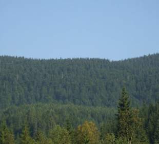 Parcul Natural Apuseni