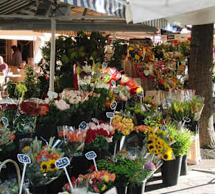 Blumenmarkt in der Altstadt