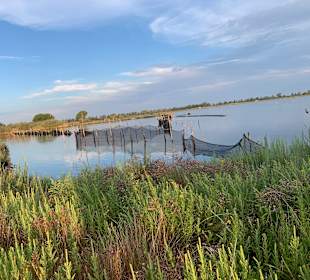 Wandern Comacchio