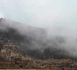  Parque Nacional del Teide