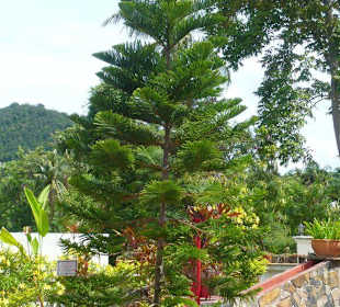 Auf der Minigolfanlage