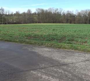 Gomaringer Rundweg - Zu den Giganten im Wald