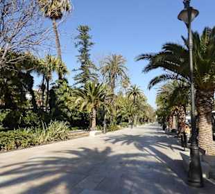 Málaga  