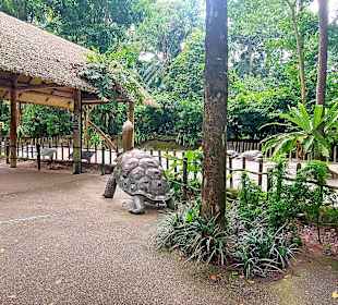 Singapur Zoo