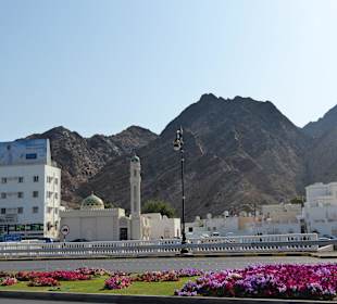 Chorniche mit Blütenmeer