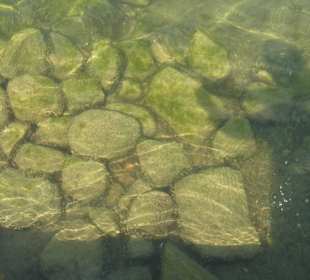 Werbellinsee August 2015 