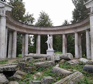 Parkanlage Pawlowsk - Apollon Kolonnade