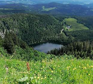 Feldsee