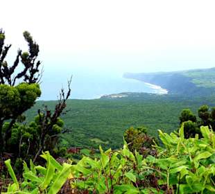 Inselrundfahrt Faial