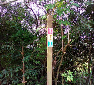 Der neue Wildpark in Bad Marienberg