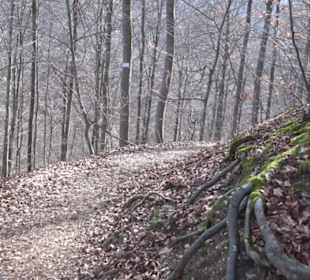 Wasserfallsteig